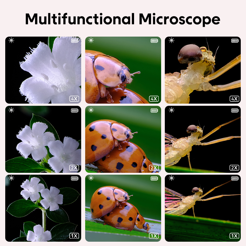 Mikroskop Optik Anak Mini deng - Kids Education World ulasan dan harga